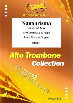 Nanourisma Standard
