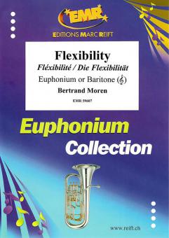 Flexibility Download