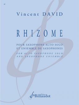 Rhizome 