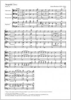 Aequale 1 WAB 114 Standard