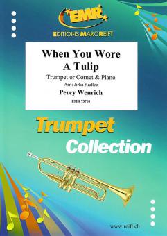 When You Wore A Tulip Download