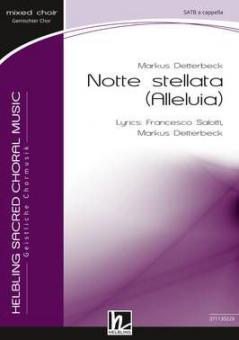 Notte stellata 