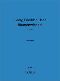 Blumenwiese 6 