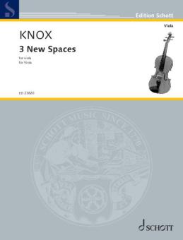3 New Spaces Standard