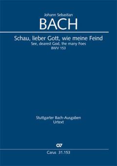 See, dearest God, the many foes BWV 153 Download