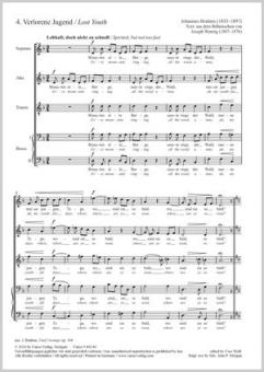 Lost Youth Standard