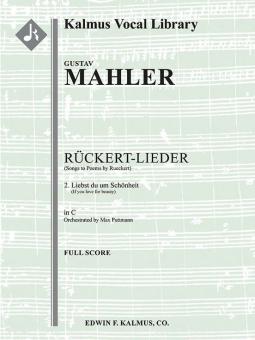 Songs to Poems by Rueckert No 2 