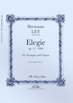 Elegía Standard