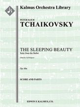 The Sleeping Beauty 