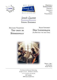 2 Streichquartette 
