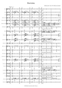 Havirska Standard