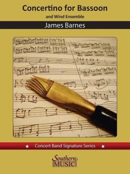 Concertino op. 171 