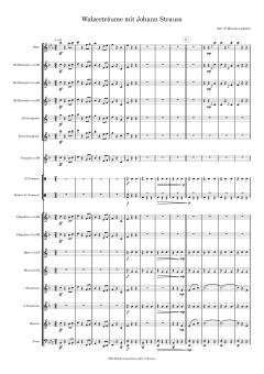 Walzerträume mit Johann Strauss Download
