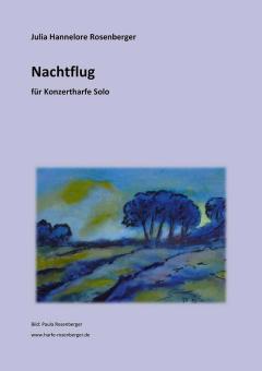 Nachtflug 