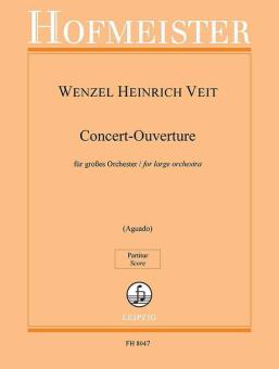 Obertura de concierto op. 17 