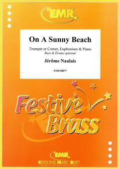 On A Sunny Beach Download
