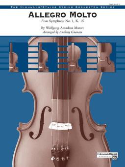 Allegro Molto Download