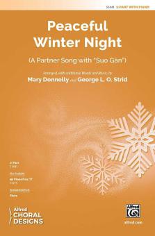 Peaceful Winter Night Download