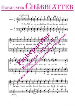 Die Minnesänger op. 33/2 