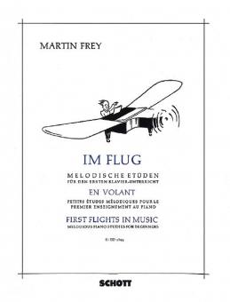 In Flight Vol. 2 