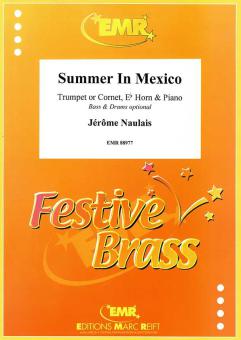 Summer In Mexico Download