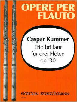 Trio brillant, Op. 30 