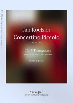 Concertino piccolo Download