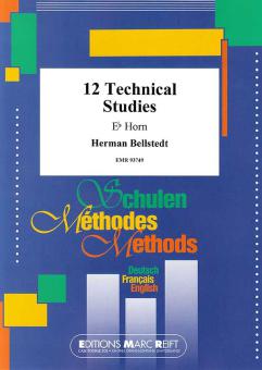 12 Estudios Técnicos Download