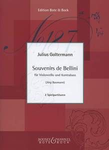 Souvenirs de Bellini 