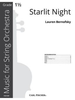 Starlit Night 