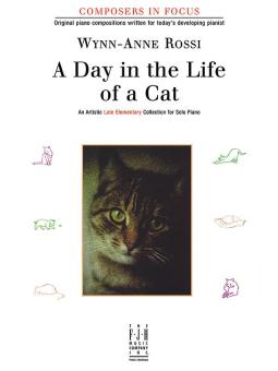 A Day in the Life of a Cat 