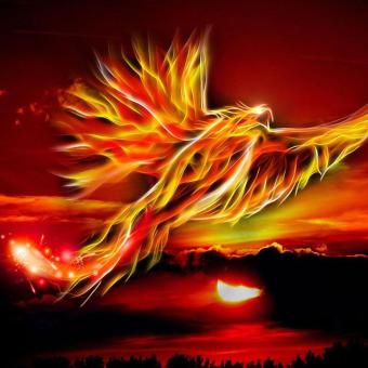 Rise 