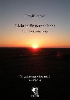 Licht in finsterer Nacht 