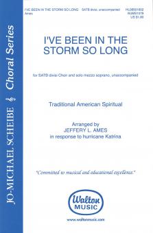 I've Been In The Storm So Long 