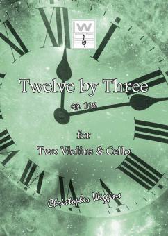 12 By 3 Download