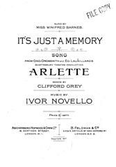 It's Just A Memory 