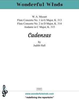 Mozart Flute Cadenzas Download