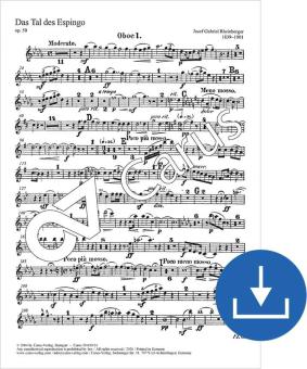 Das Tal des Espingo op. 50 