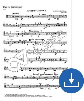 Das Tal des Espingo op. 50 