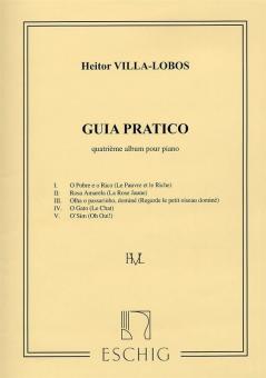 Guia Practico Vol. 4 