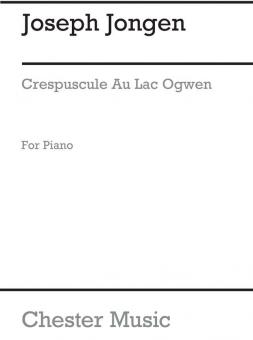 Crepuscule Au Lac Ogwen: Impression 