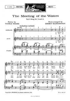 The Meeting of The Waters 