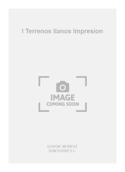 l Terrenos Ilanos Impresion For Guitar 