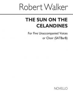 Sun On The Celandines 