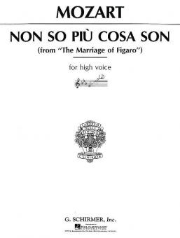 Non So Piu Cosa Son 