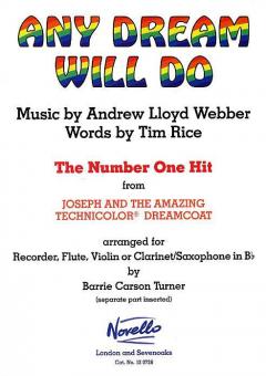 Any Dream Will Do 