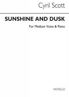Sunshine and Dusk 