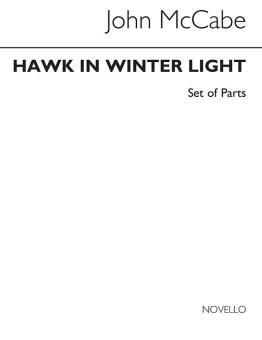 Hawk In Winter Light 