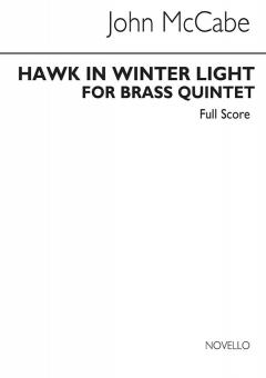 Hawk In Winter Light 