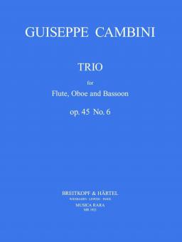 Trio Nr. 6 op. 45 